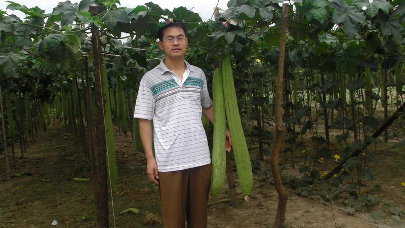 Verified China supplier - Luohe Luffa Biotechnology Co., Ltd.