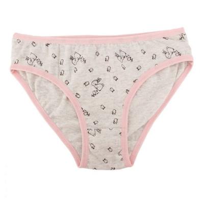 China Hot Selling Antibacterial Underwear Printed Simple Ladies Sexy Panties And Bra Sets for sale