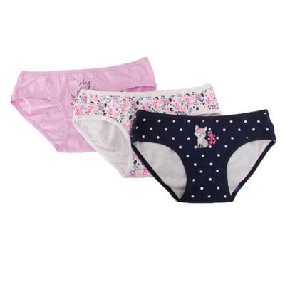 China Antibacterial Girl Factory Direct Sale Eco - Friendly And Breathable Briefs for sale