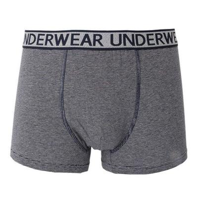 China Wholesale Custom Antibacterial Boyshort Mens Boxer OEM Design Boxer Briefs Spandex Underwear for sale