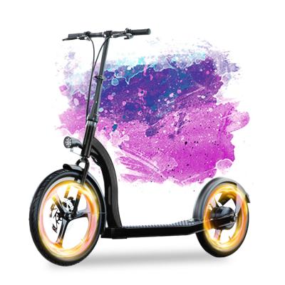 China Unisex Outdoor Sport 350w 36v 2 Wheel Fat Tire Skateboard Electric Mobility Scooter for sale