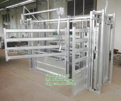 China Farms CATTLE CRUSH, CHECK GATE, 2 mm HEAVY DUTY STEEL CONSTRUCTED for sale