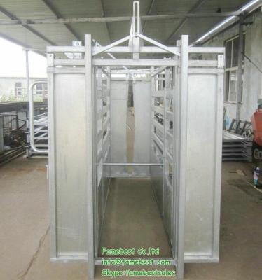 China Farms VET CATTLE CRUSHING, HDG AFTER MANUFACTURING, WE ALSO CATTLE WORKERS PANELS /CATTLE DOORS for sale