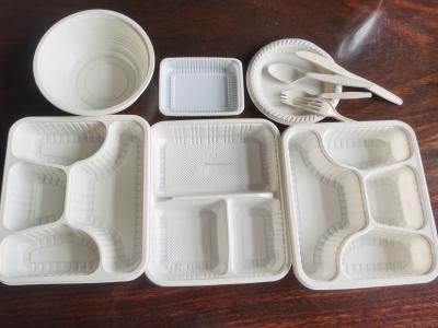 Chine Factory Hot Sale Eco - Friendly PLA Degradable Take Out Lunch Box Making Machine à vendre