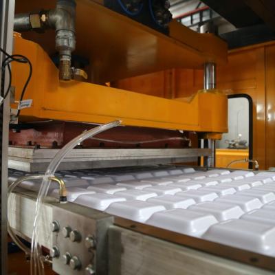 China Hot Sale Hotels Fast Food Box Vacuume Forming Machine PS Foam Tray Production Line for sale