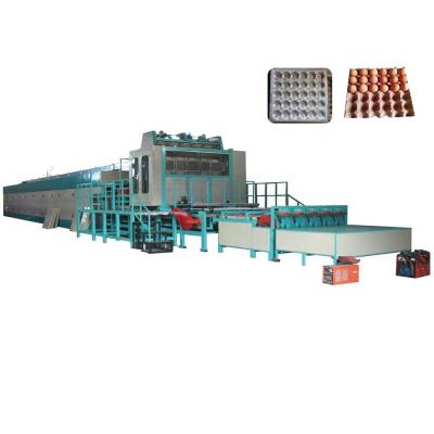 China Hotels Paper Pulp Advanced Molding Biodegradable Egg Tray Machine Production Line With Competitive Price en venta