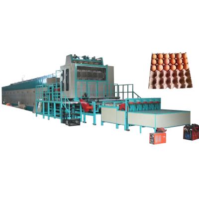 China Eco-friendly Factory Price Egg Tray Machine Production Line Egg Cartoning Machine With Drying Equipment zu verkaufen