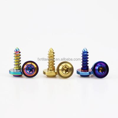 China Pan Torx Colorful Head Modification Motorcycle Pan Hot Sale Self Tapping Gr2 Gr5 Titanium Screws for sale