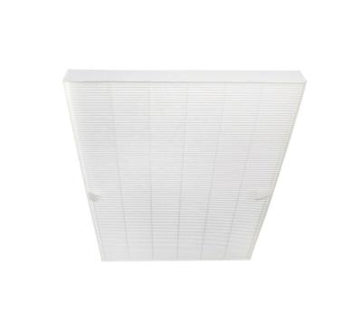 China Hotel Replacement Electrolux EFAC303 HEPA Filter with Carbon Cotton Suitable for EAC303 EAC315 Air Purifier for sale