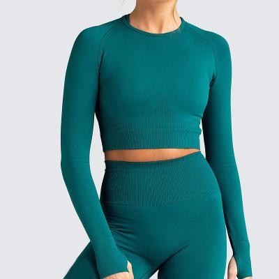 China Breathable Seamless Women's Long Sleeve Slimming Fitness Workout Apparel Gym Yoga Tops Running Wear Manufacturer for sale