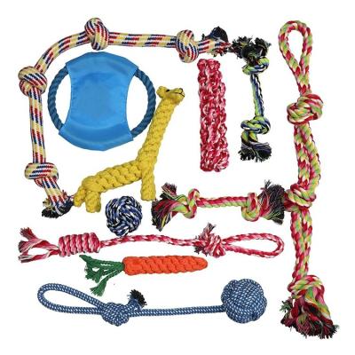 China Sustainable Dog Chew Toys 11 Pcs Pet War Toy Bundle Toothbrush Durable Rope Dog Chew Toys For Small Medium Large Dogs for sale