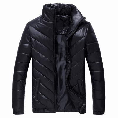 China Autumn And Winter Plus Size Young Men's Factory Direct Sales Explosion Anti-wrinkle Pattern Down Jacket Padded Collar Padded Jacket for sale