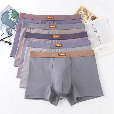 China Highest Quality Anti-Static Filed Oversied Cotton Solid Customized Mens Underwear Breathable Boxer Briefs for sale