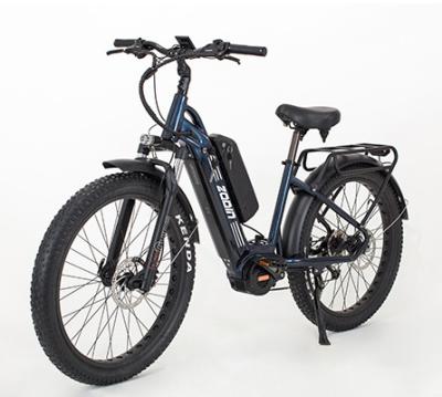 China Good Quality Aluminum Alloy Fat Tire Suspension Fat Tire Mountain Bike Mid Drive Electric Bike for sale