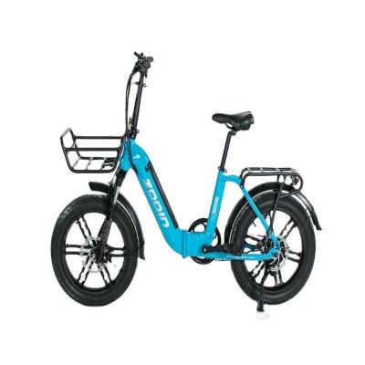 China Aluminum Alloy Folding Ebike Aluminum Alloy Frame Li-Battery Bike 250w LED Light OEM View Battery Max Charging hiddern time for sale