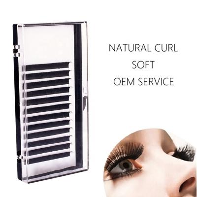 China Own Art Material High Quality Stable Private Label Soft Natural Thick LOGO Eyelash Extension Free Design Individual Classic for sale