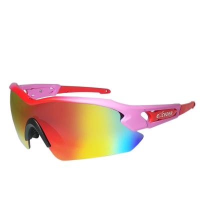 China PC Sunglasses Sports Polaried Glasses Adjustable Outdoor Temple Eyewear for sale