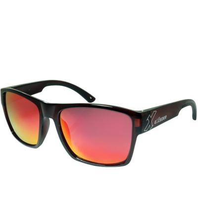 China Fashion Sunglasses Factory Price Fashion PC Polarized UV 400 Lifestyle Eyewear for sale