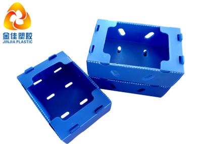 China Unfoldable Plastic Perforated Boxes For Fruits Transportation for sale