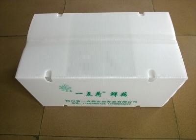 中国 野菜を運ぶための空気循環の穴が付いている折りたたみプラスチックの箱 販売のため