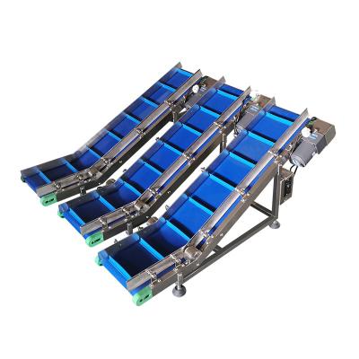 China LHJ Heat Resistant Inclined Food Grade Belt Conveyor For Mushroom Bag / Conveyor Belt System Bottle Production Line for sale