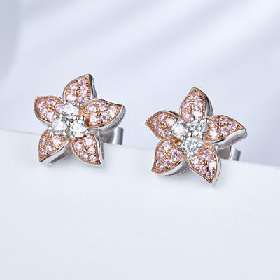 China New Summer CLASSIC Simple Sterling Silver Small Stud Star Stud Earrings Small Zircon 3A Wild Pink Cool Girl Earrings for sale