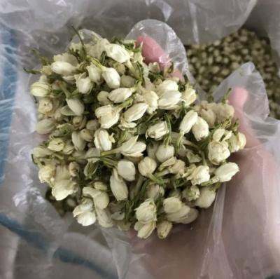 China Hot Selling High Grade Jasmine Flower Cheap Price in High Quality Jasmine Flower Tea for Export for sale