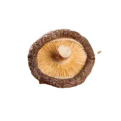 China Wholesale Dry Mushrooms Pure Dry agriculture products Price Mushrooms for sale