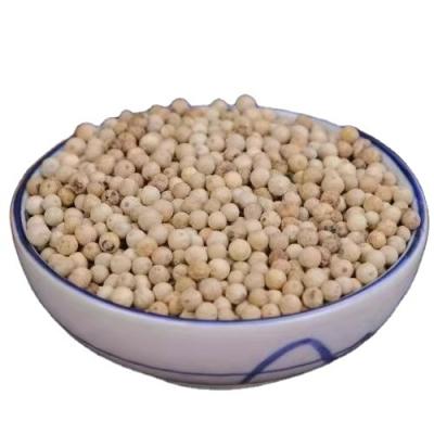 China Wholesale a large number of prices new indonesia white pepper for sale