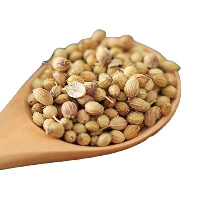 China Factory Price Wholesale Natural Spices High quality Dried Coriander Seeds organic spices zu verkaufen