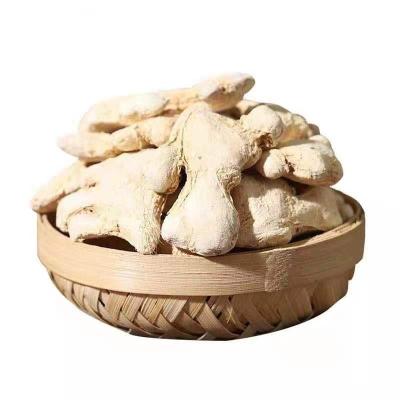 China Factory Wholesale Customized Factory price supply whole ginger bulk spices and seasonings cost effective dried ginger for sale