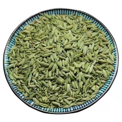 China Factory Wholesale Low Price New Fennel Seeds Green Fennel Seeds for sale