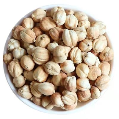 China Factory Wholesale Low Price New White Cardamom White Cardamom Seeds for sale