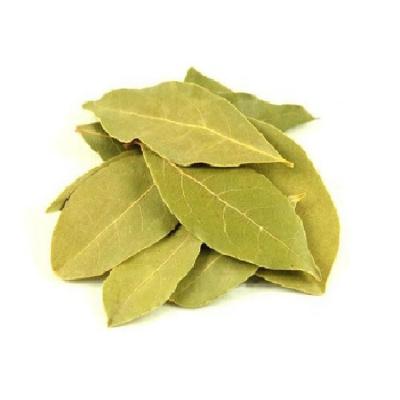 China Hot Selling Spices Bay Leaves Spice Herbs Bulk Supply Dried Bay Leaves zu verkaufen