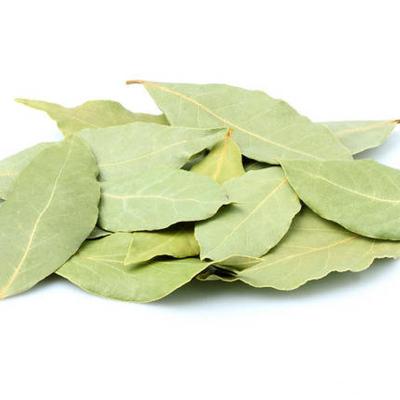 China Factory supply premium quality Dehydrated Dried AD air dry Bay leaf for sale