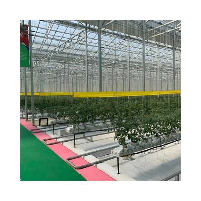 China Hot-dipped galvanized high quality and cheap agricultural glass greenhouse steel hydroponic greenhouse for sale