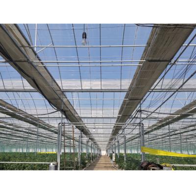 China Large Tunnel Plastic Steel Agricultural Sheet Greenhouse Hot-dipped Galvanized Plastic Sheet Commercial Greenhouse For Hemp Breeding for sale