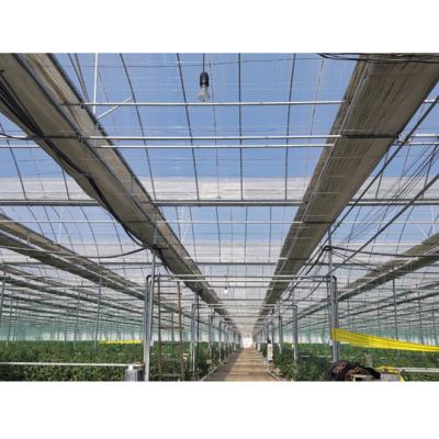 China Hot-dipped galvanized steel high quality tomato growing plastic sheet automatic greenhouse climate control greenhouse for tomato for sale