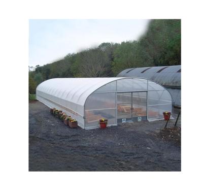 China Greenhouse Vegetable Agricultural Film Low Price Strawberry Flowers Fruit Garden Plastic Greenhouse For Plants for sale