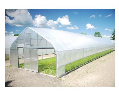 China Vegetable Single Span Flower Strawberry Flower Fruit Agriculture Greenhouse Commercial China Manufacturer For Tomato/Cucumber/Pepper/Strawberry Hydroponics for sale