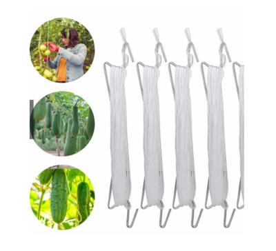 China Economic Hanging Hook Tomato Hook With White Twine For Greenhouse Planting for sale