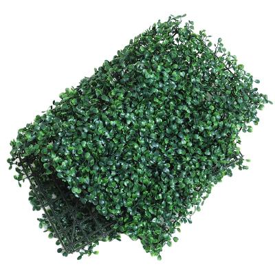 China Minimalist Artificial Green Wall Grass Decoration 20 x 20 in 50*50cm Artificial Plastic Hedge Boxwood Panel Piece for sale