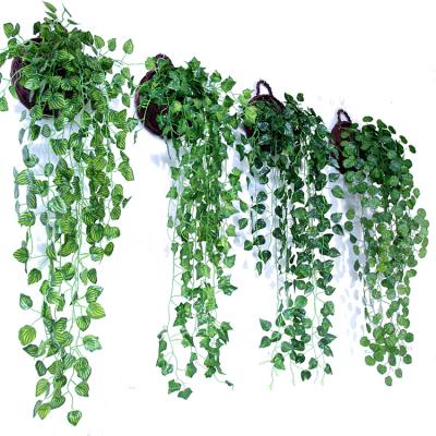 China Rustic Wall Hanging Artificial Plant Decorative Vines For Walls for sale