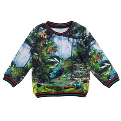 China Guangzhou Factory Autumn Winter Anti-pilling Custom Kids Sweatshirt French Print Pullover Animal Custom Terry Sweatshirt For Kids Boy for sale