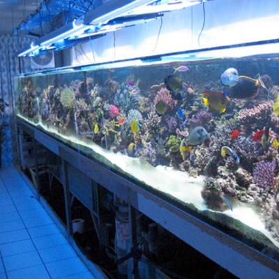 Cina chiaro 3mm bordo acrilico 93% dell'acquario dello strato di 6mm per la piscina in vendita