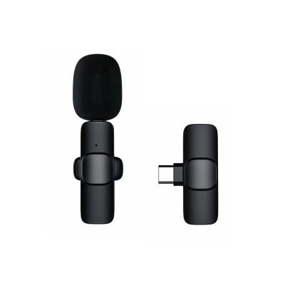 China Wireless Microphone Mic For Live Mobile Phone New Portable Wireless Microphone Gooseneck Microphone Audio Video Recording for sale