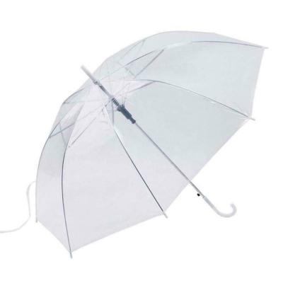 China 23 Inch Straight Cheap Minimalist See Through Clear POE Material Transparent Umbrella For Japanese for sale