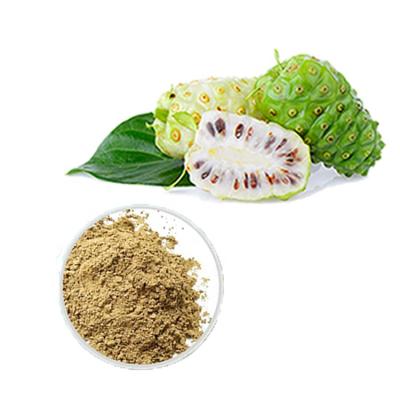 China Health Care Products & Good Price Beverage Manufacturer Supply Best Selling Noni Powder Morinda Citrifolia Extract for sale