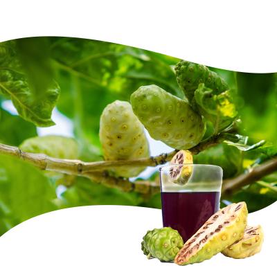 China Natural Fermentation Health Drink Powder, Noni Fruit Enzyme Juice Extract Powder for sale