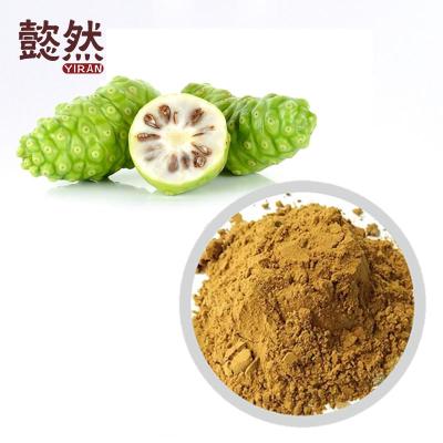 China Medicine Healthcare Products & Wholesale Health Food Cosmetic Enzyme Juice Powder Morinda Citrifolia Premium Noni Powder Extract for sale